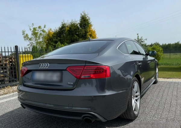 Audi A5 cena 56500 przebieg: 291500, rok produkcji 2012 z Lublin małe 106